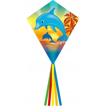 Obraz Drak DELFÍN - Ecoline EDDY DOLPHIN SUNSET 70 x 58 cm