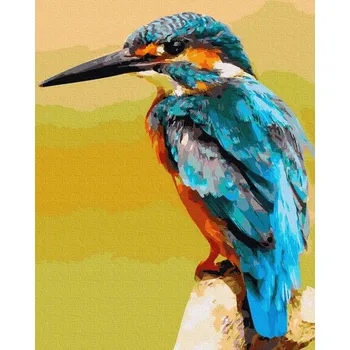 Malování podle čísel iPicasso 40x50 cm na rámu