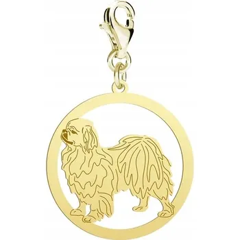 Přívěsek Pozlacený přívěsek Charms se psem Tibetský španěl DEDIKACE