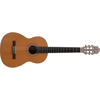 Kytara Prodipe Guitars Primera 3/4