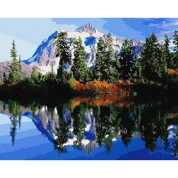 Obraz Malování podle čísel iPicasso 40x50 cm na rámu