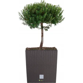 Květináč Květináč plast béžový Botle 26,2 cm x 26,2 x 26,6 cm