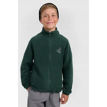 Chlapecká mikina Dětská mikina 4F polyester zelená, velikost 164