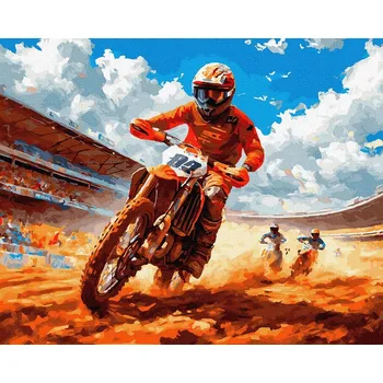 Malování podle čísel iPicasso 40x50 cm na rámu