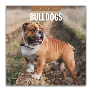 Diář Bulldogs - Bulldoggen 2026 - 16-Monatskalender (EN)