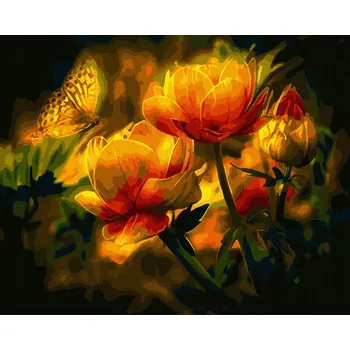 Malování podle čísel iPicasso 40x50 cm na rámu