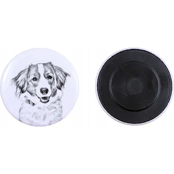 Obraz Kooikerhondje - magnet s motivem psa, extra lehký, silný magnet, produkt