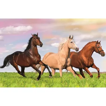 Puzzle Trefl puzzle svět koní – cval přes louku 54 dílků