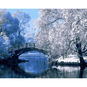 Obraz Malování podle čísel iPicasso 40x50 cm na rámu