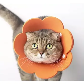 Obojek pro psa TopTechnology Obojek pro domácí zvířata EVA houbový, nepropustný rozměr M 22-27cm (oranžový)