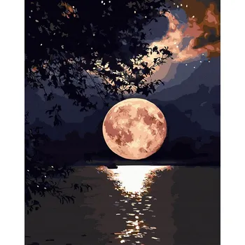 Obraz Malování podle čísel iPicasso 40x50 cm na rámu