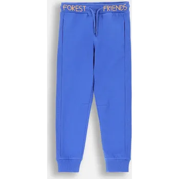 Chlapecké kalhoty Chlapecké tepláky Cargo kobaltové barvy, velikost 122 Coccodrillo ZC4