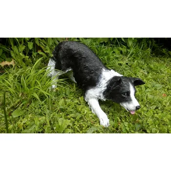Zahradní dekorace Pes- Boreder Kolie - ručně malovaná