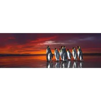 Puzzle Heye Tučňáci patagonští 1000 dílků