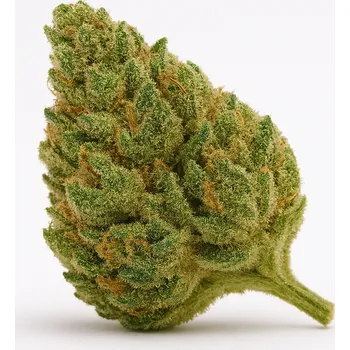 CBD Northern Lights THC X CannaVibe Květy -: 1g