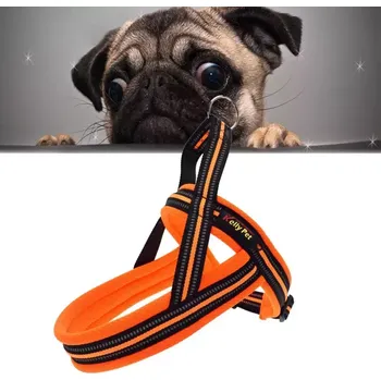 Obleček pro psa TopTechnology Hrudní popruh pro psy Pet A7 s reflexními prvky, velikost S, 2.0*50*62cm (Oranžový)