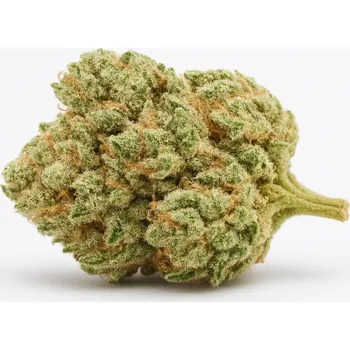 CBD Amnesia Haze THC X | Indoor konopný květ Květy -: 5g