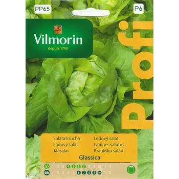 Semeno Ledový salát Glassica F1 (polní, letní, odolný k vykvétání)