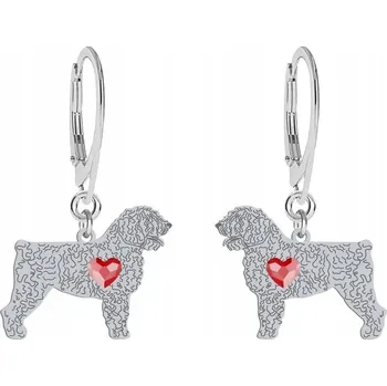 Náušnice Stříbrné Náušnice 925 Španělský vodní pes GRAVÍROVÁNÍ DÁREK