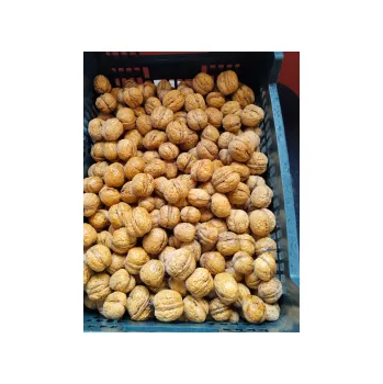 Sušená potravina Včelka Vlašské ořechy NELOUPANÉ 10 kg