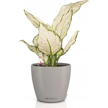 Květináč Plast Květináč béžový Lechuza 13 cm x 13 x 12 cm