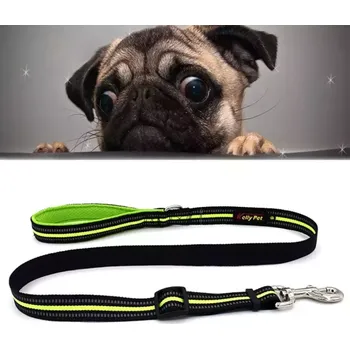 Vodítko pro psa TopTechnology Reflexní nylonové vodítko pro psy - velikost S, nastavitelné 100-140 cm, zelené