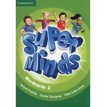Cizí jazyk Super Minds Level 2 Wordcards (Pack of 90)