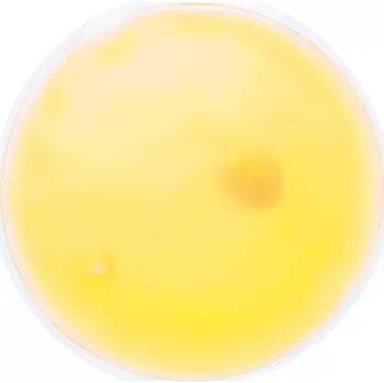 ohřívač rukou Zahřívací polštářek - kruh žlutý 68g