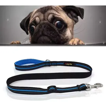 Vodítko pro psa TopTechnology Vodítko pro psy - Reflexní nylonové s nastavitelnou délkou, Velikost: M, Modré