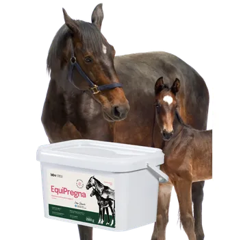 LAB-V EquiPregna 2 kg