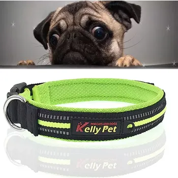 Obojek pro psa TopTechnology Obojek pro psy z polyesteru - reflexní a prodyšný, velikost: L, 2.5*47*54cm (Zelený)