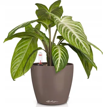 Květináč Plast Květináč béžový Lechuza 13 cm x 13 x 12 cm