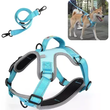 Vodítko pro psa TopTechnology FunAdd Reflexní Vodítko a Hrudní Popruh pro Psy, Velikost: M (Modrý)