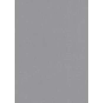 Tapeta DIMEX | Vliesová tapeta na zeď 1043747V | 0,53 x 10,05 m | šedá, metalická + Šedá, metalická vliesová tapeta na stěnu 1043747V v rozměru 0,53 x 10,05 m