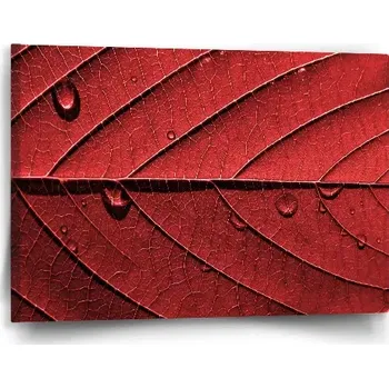 Obraz Sablio Obraz Červený list - 60x40 cm