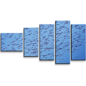 Obraz Sablio Obraz - 5-dílný Hejno ptáků - 100x60 cm
