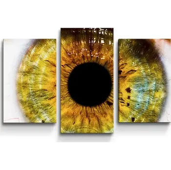Obraz Sablio Obraz - 3-dílný Oko - 75x50 cm