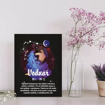 Plechová cedule Sablio Dárková cedulka Vodnář: 30x40 cm