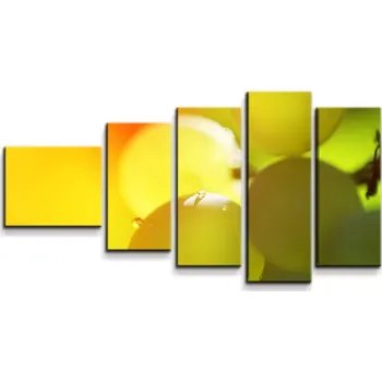 Víno Sablio Obraz - 5-dílný Hroznové víno - 100x60 cm