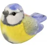 Plyš ptáci Sýkora modřinka