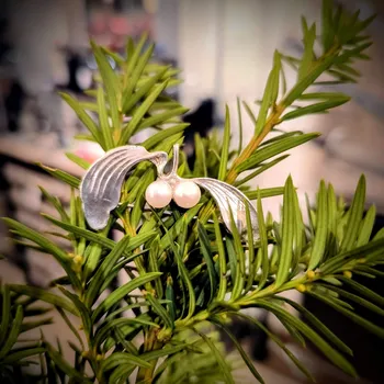 Brož Stříbrná brož – Snítka jmelí s říčními perlami