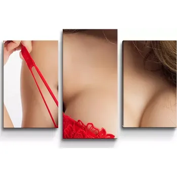 Obraz Sablio Obraz - 3-dílný Dekolt ženy - 75x50 cm