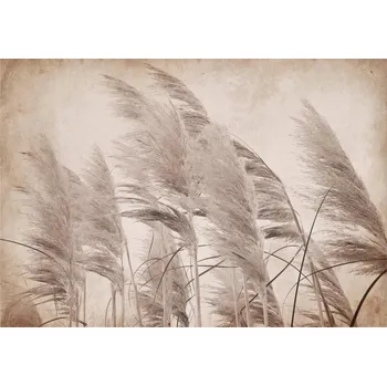 Fototapeta Fototapeta TRÁVA PAMPASOVÁ Boho Ložnice 312x219