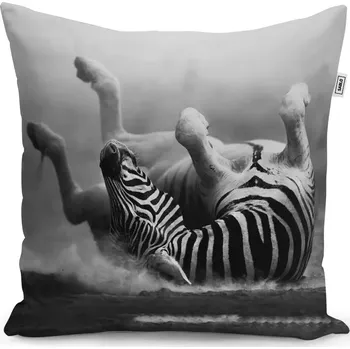 Polštář Sablio Polštář Válející se zebra - 40x40 cm