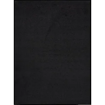 Rohožka Rohožka, černá, 60x80 cm