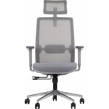 Ergonomická otočná kancelářská židle CUTLER GF, šedý rám, šedá