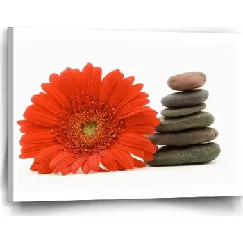 Obraz Sablio Obraz Gerbera s kameny - 60x40 cm