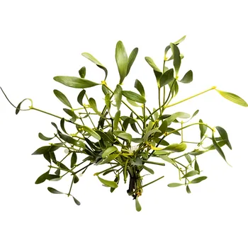 Vánoční dekorace Jmelí zelené