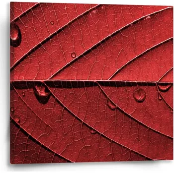 Obraz Sablio Obraz Červený list - 50x50 cm