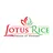 Lotus Rice